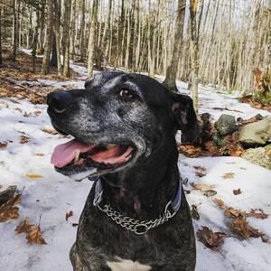 Meet your Posher, Cassie